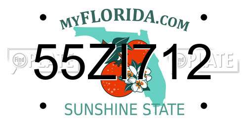 55ZI712 Florida License Plate