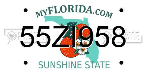55ZI958 Florida License Plate