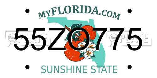 55ZO775 Florida License Plate