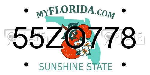 55ZO778 Florida License Plate