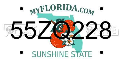 55ZQ228 Florida License Plate