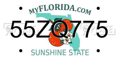 55ZQ775 Florida License Plate