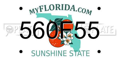 560F55 Florida License Plate