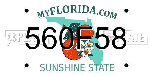 560F58 Florida License Plate