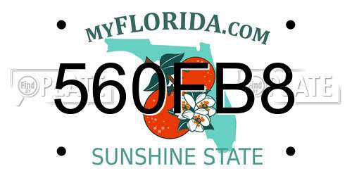 560FB8 Florida License Plate