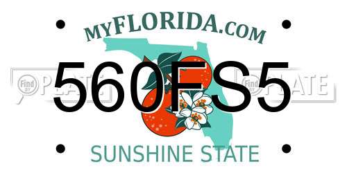 560FS5 Florida License Plate