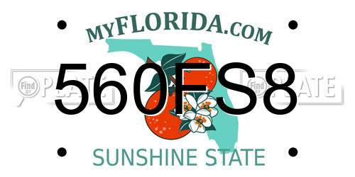 560FS8 Florida License Plate
