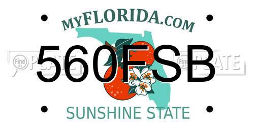 560FSB Florida License Plate