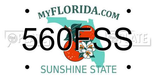 560FSS Florida License Plate