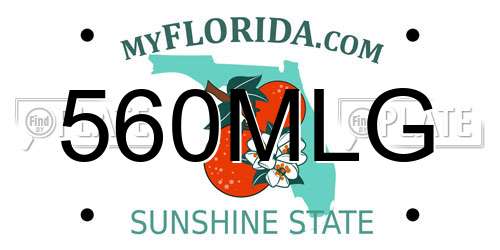 560MLG Florida License Plate