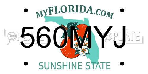 560MYJ Florida License Plate