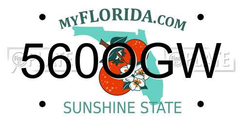 560OGW Florida License Plate