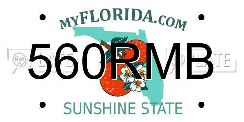 560RMB Florida License Plate