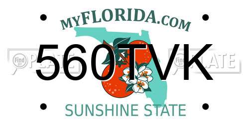 560TVK Florida License Plate