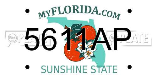 5611AP Florida License Plate