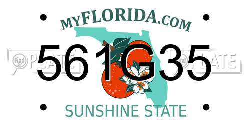 561G35 Florida License Plate