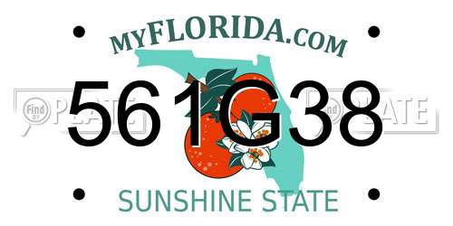 561G38 Florida License Plate