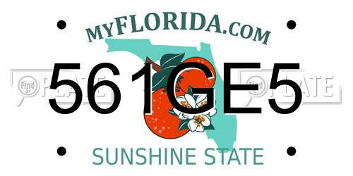 561GE5 Florida License Plate