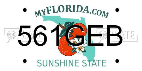 561GEB Florida License Plate