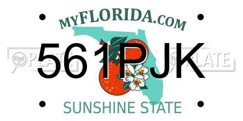 561PJK Florida License Plate