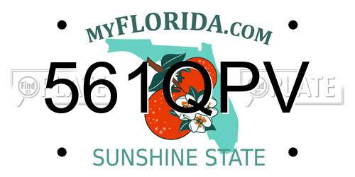 561QPV Florida License Plate