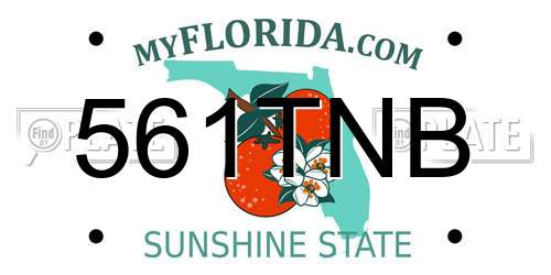 561TNB Florida License Plate