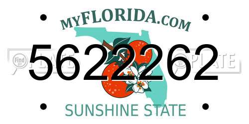 5622262 Florida License Plate