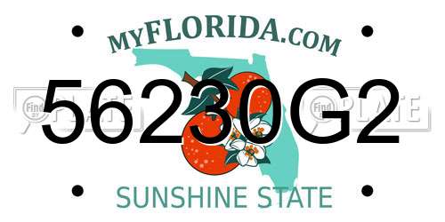 56230G2 Florida License Plate