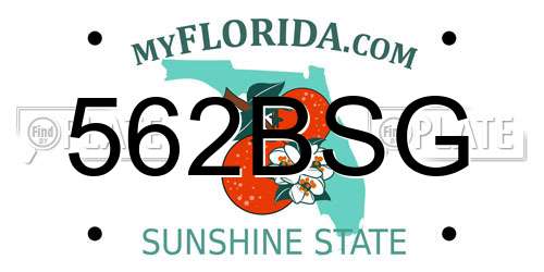 562BSG Florida License Plate