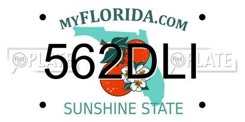 562DLI Florida License Plate