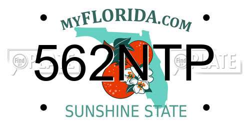 562NTP Florida License Plate