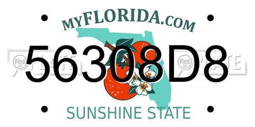 56308D8 Florida License Plate