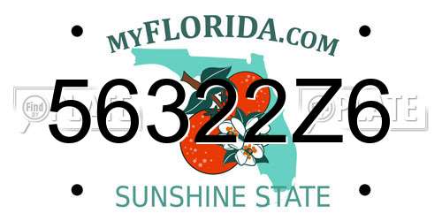 56322Z6 Florida License Plate