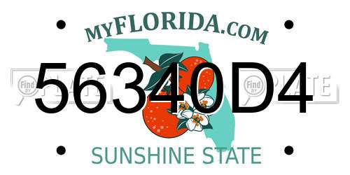 56340D4 Florida License Plate