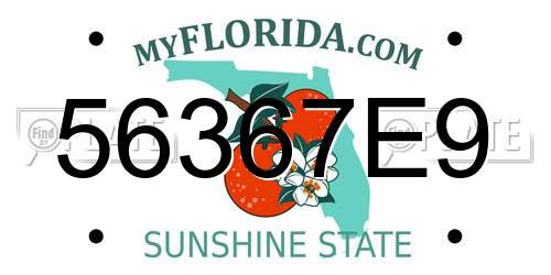 56367E9 Florida License Plate