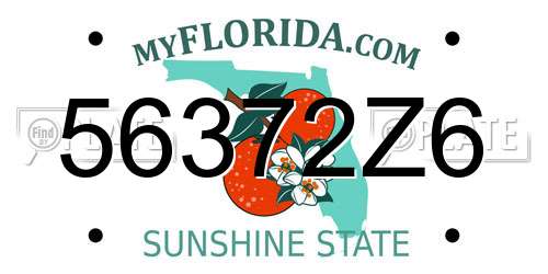56372Z6 Florida License Plate