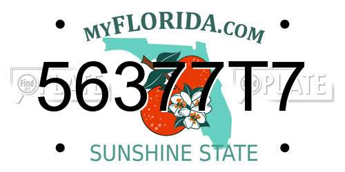 56377T7 Florida License Plate