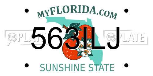 563ILJ Florida License Plate