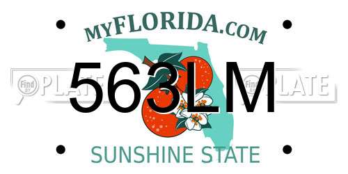 563LM Florida License Plate