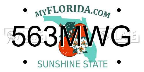 563MWG Florida License Plate