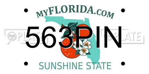 563PIN Florida License Plate