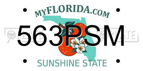 563PSM Florida License Plate