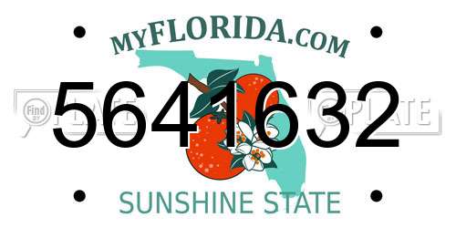 5641632 Florida License Plate