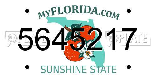 5645217 Florida License Plate