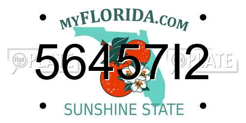 56457I2 Florida License Plate