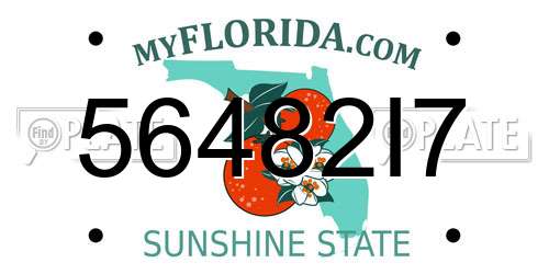 56482I7 Florida License Plate