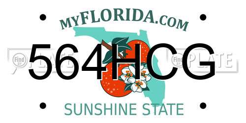564HCG Florida License Plate