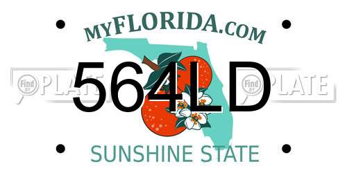 564LD Florida License Plate