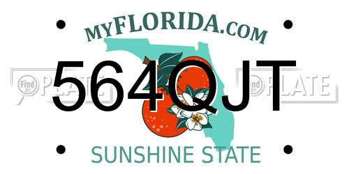 564QJT Florida License Plate