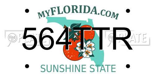 564TTR Florida License Plate